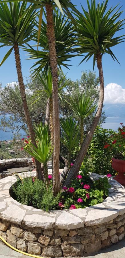 Margherita'S Holidays Home Agios Spyridon  ภายนอก รูปภาพ
